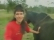 Horse poo