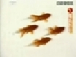 Cleaver fish