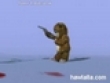 Funny videos : Bear kills frog