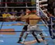 Fastest organized fight ever