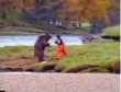 Funny videos : Only the freshest salmon