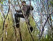 Funny videos : Creek tree fall