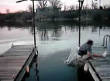 Funny videos : Failed dock jump attempt