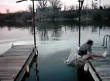 Failed dock jump attempt