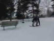 Funny videos : Snowboard bench slam