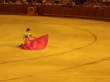 Sport videos: Bull vs matador