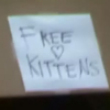 Pranks : Free kittens prank
