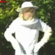 Beehive gag