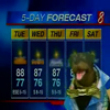 Triumph does the weather