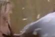 Funny videos : Cable commercial