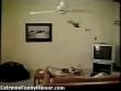 Funny cats : Cat gets caught on spinning fan