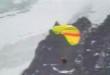 Stupid videos : Crazy bungee jumpers...