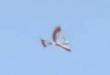 The rc bird - this is amazing!