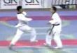 Cool martial arts video