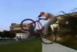 Sport videos: Some more bike tricks