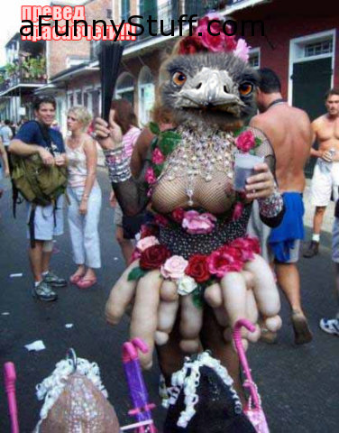 Funny pictures : Girl with cocks