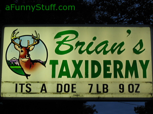 Funny pictures : Taxidermery sign board