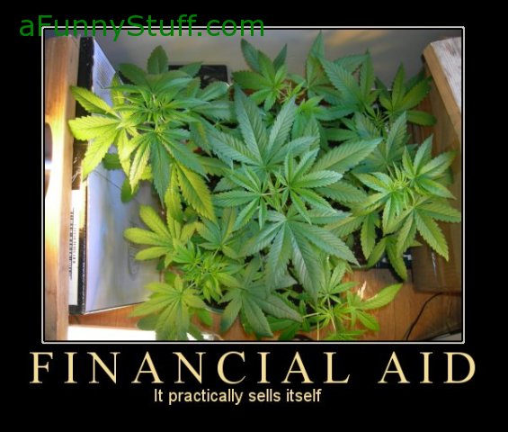 Funny pictures : Financial Aid