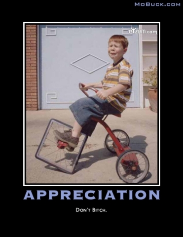 Funny pictures : Appreciation
