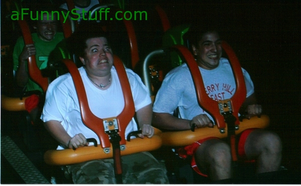 Funny pictures : crazy ride