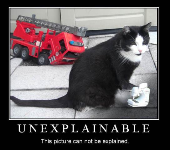 Funny pictures : Unexplainable 2