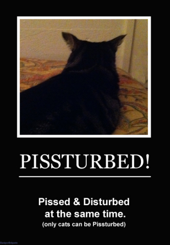 Funny pictures : Pissturbed