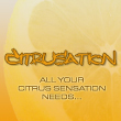 Strategy games: Citrusation