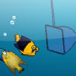 Action games : Aquarium Scoop Hotshot