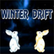 Photo puzzles : Winter Drift