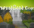 Woodland Escape