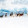Photo puzzles : Eight below hidden numbers   