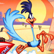 Road runner