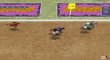 Racing games: Horse Racing Fantasy