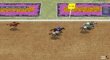 Horse Racing Fantasy