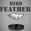 Free games : Bird Feather