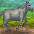 Free games: My Pet Horse