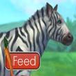Free games : Feed Zebra