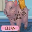 Free games: Little Piggy