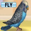 Free games: Polly the Parrot