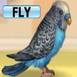 Free games : Polly the Parrot