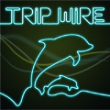 Free games : Trip Wire