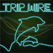 Trip Wire