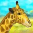 Free games : Giraffe Zoo