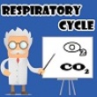 Action games : Respiratory Cycle-1