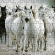 White Horse Jigsaw