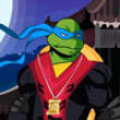 Ninja Turtles Dress up
