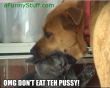 Funny pictures : Don't eat pussy