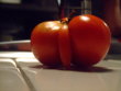 Funny pictures: one hung tomato