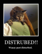 Funny pictures: Distrubed