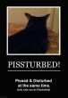 Funny pictures : Pissturbed